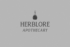 Spirit Box Serif Family Product Image 6