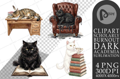 Spiteful Cat Dark Academia Sublimation Product Image 1