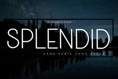 Splendid Product Image 1