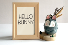 Splendid Product Image 8