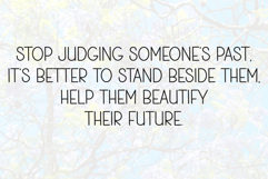 Splendid Product Image 4