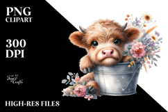 Cute Baby Highland Cow in Flower Bucket, PNG Product Image 2