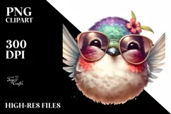 Washed Hummingbird Portrait Smiling | Clipart Product Image 1