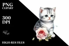 Cute Baby Cat, High Detail PNG Product Image 1