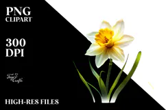 Peonies with Golden Insertions, High-Quality PNG Product Image 2