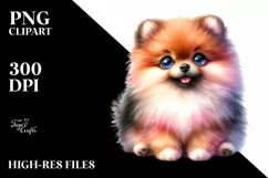Watercolor Funny Pomeranian | Clipart Product Image 1