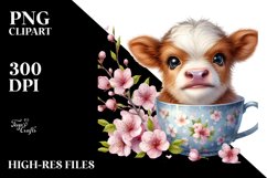Cute Baby Hignland Cow with Cherry Blossom Cup PNG Product Image 2