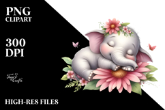 baby elephant sleeping Product Image 2