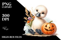 Cute Baby Swan Sitting PNG Product Image 3