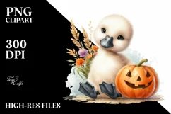 Cute Baby Swan Sitting PNG Product Image 3
