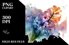 Shiny Hyacinth with Golden Insertions, High-Res PNG Product Image 3