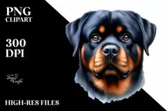 Rottweiler Big Eyes Watercolor Clipart Product Image 1
