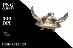 Sea Turtle Marine Ocean Reptile Clipart Product Image 1