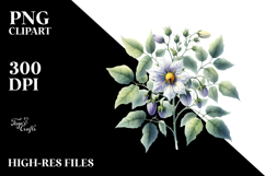 Nightshade Watercolor PNG Product Image 2