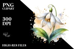 Detailed Snowdrop Product Image 1