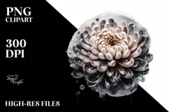 Glossy Chrysanthemum made of like Material | Watercolor Product Image 3