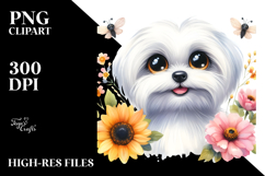 Adorable Maltese Product Image 2