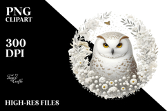 Digital Owl Painting, Transparent PNG Product Image 2