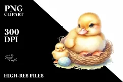 Cute Baby Duck, Transparent PNG Product Image 3