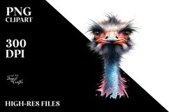 Vibrant Ostrich,White Background | Clipart Product Image 1