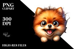 Sublimation|Clipart Product Image 3