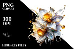 Shiny Narcissus | Clipart Product Image 1