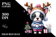 Winter Baby Boston Terrier, High-Quality PNG Product Image 1