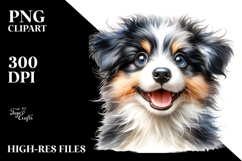 Cute Baby Border Collie PNG Product Image 2