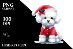 Christmas Bichon Frise PNG Product Image 2