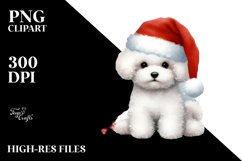 Christmas Bichon Frise PNG Product Image 1