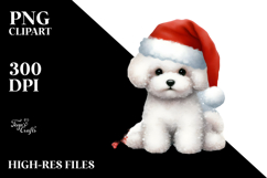 Christmas Bichon Frise PNG Product Image 2