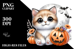 Cute Baby Cat Holding Halloween Pumpkin, PNG Product Image 2