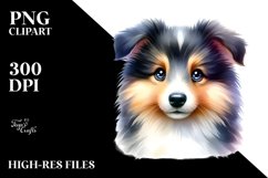 Cute Baby Collie Watercolor Clipart Product Image 3