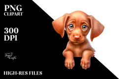 Watercolor Baby Vizsla PNG Product Image 2