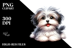 Baby Havanese with Crazy Fur, Transparent PNG Product Image 2