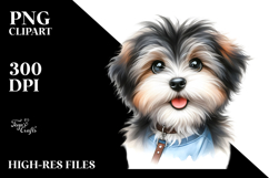 Baby Havanese PNG Product Image 2