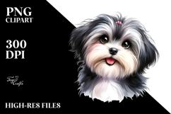 Adorable Havanese Puppy, High-Res PNG Product Image 2