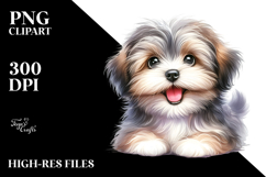 Adorable Havanese Puppy, High-Res PNG Product Image 2