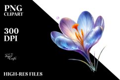 Detailed Crocus Watercolor Splash Product Image 3