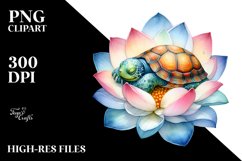 Sleeping Turtle in Flower, PNG Product Image 2