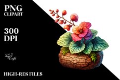 Detailed Stained Begonia Watercolor Splash Product Image 3