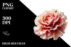 Carnation with Golden Insertions, High-Res PNG Product Image 2