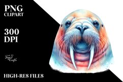 Vibrant Walrus | Clipart Product Image 1