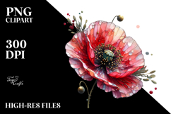 Poppy Made of with Watercolor Splash, High-Resolution PNG Product Image 2