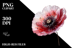 Poppy Watercolor, PNG Product Image 2