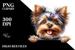 Funny Yorkshire Terrier | Sublimation | Clipart Product Image 1