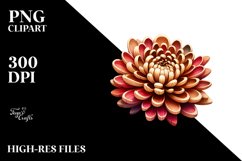 Stained Chrysanthemum Clipart Product Image 3