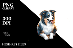 Border Collie at Sunset Beach | Clipart Product Image 2