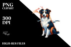 Border Collie at Sunset Beach | Clipart Product Image 2