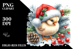 Cute Baby Chicken Dressed for Christmas Product Image 2